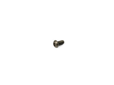 Hope M3 x 6 TORX DOME HEAD Stainless Steel TAMPER PROOF