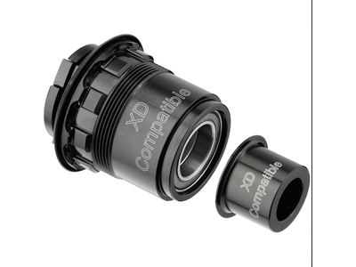 DT Swiss Pawl freehub conversion kit for SRAM XD, 142 / 12 mm or BOOST