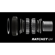 DT Swiss Ratchet LN conversion kit for 3-Pawl hubs, MTB, 18-tooth, SRAM XD Hybrid Steel click to zoom image