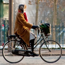 Leisure & Urban Bikes Traditional